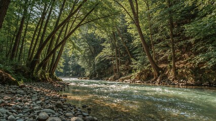 Obraz premium A peaceful river flowing through a forested area with tall trees and rocky shores.