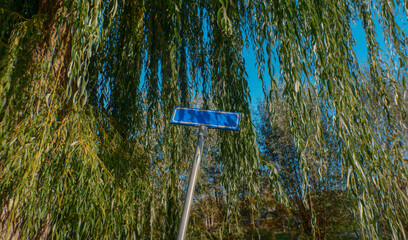 Blue Street Sign Beneath Cascading