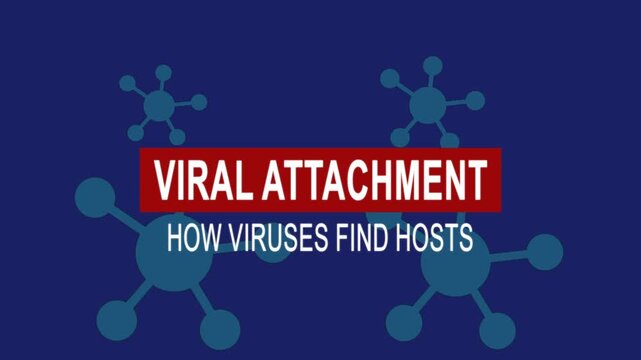 Viral attachment how viruses find hosts. Medical news alert headline virus animation background. Health concept.