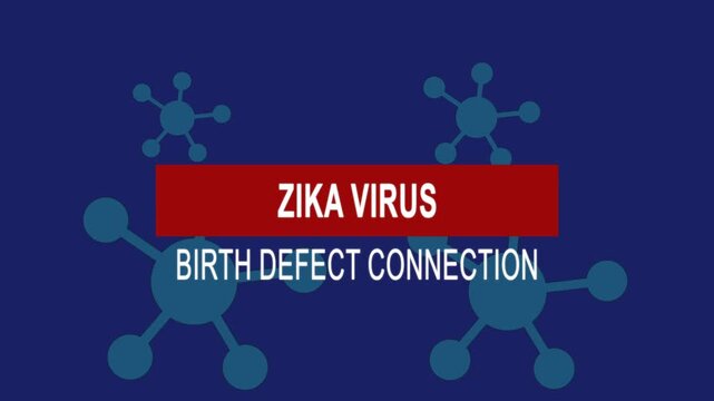 Zika virus birth defect connection. Medical news alert headline virus animation background. Health concept.