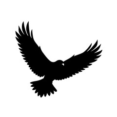 A silhouette of a flying hawk bird in the sky