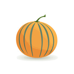 A simple and modern flat 2D vector of a Cantaloupe, isolated on a pure white background.