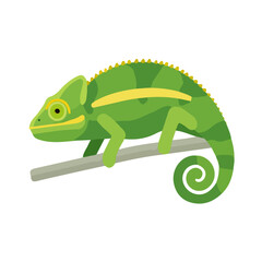 Chameleon flat vector illustration in a modern and simple 2D style, placed on a white background. © MiniVex