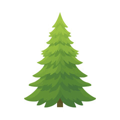 Fir Tree flat vector illustration in a modern and simple 2D style, placed on a white background.