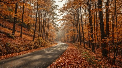 Naklejka premium Autumn forest landscape with a winding road through trees with fall foliage. Nature and seasonal change, scenic route, peaceful atmosphere.