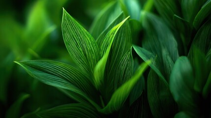 Fototapeta premium Abstract blurry image of green foliage