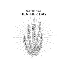 National Heather Day Illustration with Heather Sprigs and Radiating Lines.