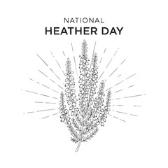 National Heather Day illustration featuring a detailed heather plant drawing.