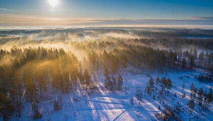 Captivating aerial panorama of a pristine winter forest, where the early morning sun's golden rays softly penetrate a light mist, illuminating the snow-covered trees with ethereal glow