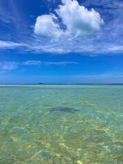 Clear quiet and transparent waters on the tropical white sand beach of Chaweng, Koh Samui Island, Thailand