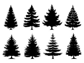 Collection of black fir and spruce tree silhouettes isolated on white background. Vectror illustration