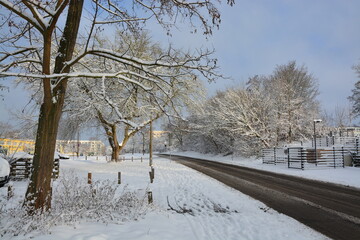Baum, Stra&szlig;e, Winter, Dorf