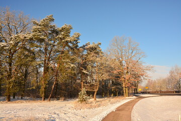 Wald, Radweg, Feld, Himmel, Schnee, Winter