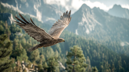 Obraz premium eagle flying above forest with mountains