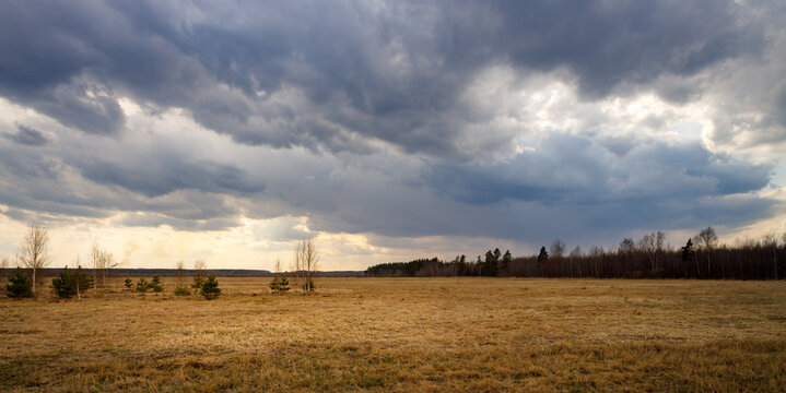 Field of grass with a cloudy sky in the background