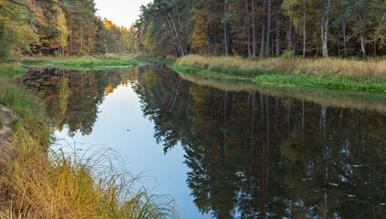 River with a reflection of trees and a sky in the background