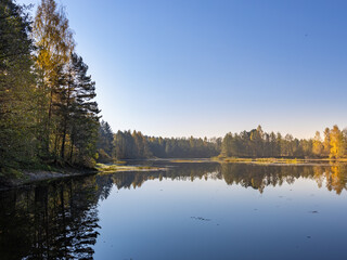 Calm lake with trees in the background