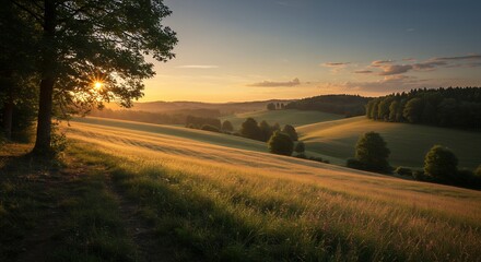 Sunset Over Scenic Meadow with Trees