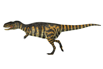 Abelisaurus Dinosaur Profile - Abelisaurus was a theropod carnivorous dinosaur that lived during the Cretaceous Period of Argentina.