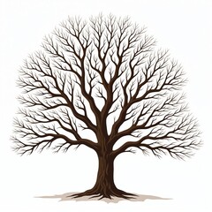 Fototapeta premium Bare tree illustration stands on white. Graphics show stylized leafless wood. Design natural scene. Conceptual bare tree image shows nature, ecology, environment. Season winter, fall represented with
