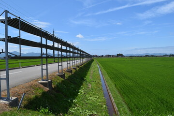 Obraz premium 農道と田園風景 山形県庄内