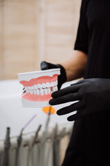 Dentist demonstrating dental jaw model to patient, oral health education in clinic