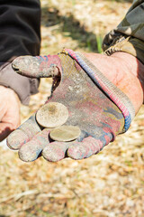 Archaeologists share finds from excavations at historical sites after work, examining artifacts from past years.