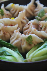 Handmade dumplings, beautifully folded and ready to enjoy—an artisanal and comforting dish rich in flavor and culinary tradition.