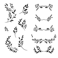 Botanical branches vector set, minimal floral line art elements for any design