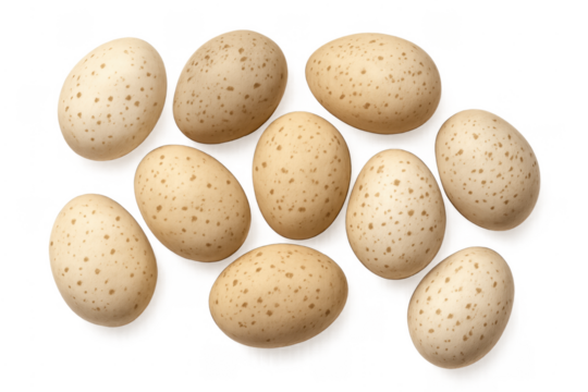 Speckled eggs showing rustic organic breakfast food concept
