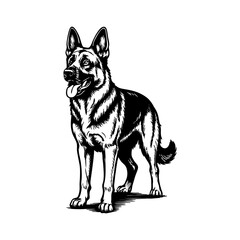 German Shepherd Dog Illustration – Detailed Standing Guard Dog Artwork for Pet Logos, K9 Training Designs, Animal Mascots, and Security Branding