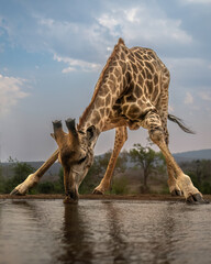 Fototapete bei efototapeten.de bestellen   