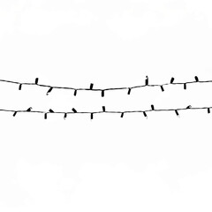 Hanging String Lights on White Background

