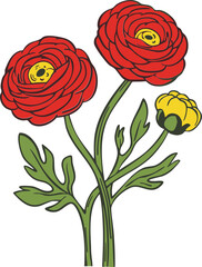Color flower stem illustration with red and yellow bloom on white