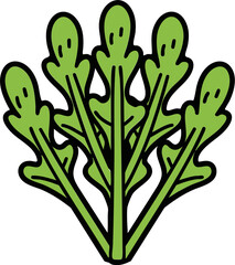 Leafy green vegetable bunch illustration as fresh organic salad ingredient