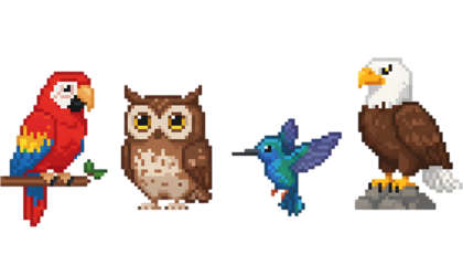 Pixelated illustration of various birds, including a parrot, owl, hummingbird, and eagle.