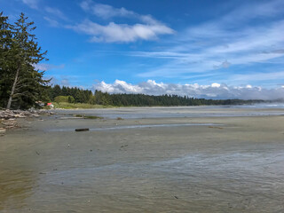 Expansive Sandy Shoreline in Ucluelet, British Columbia, Canada