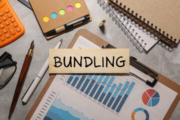 BUNDLE word made with building blocks isolated on white.