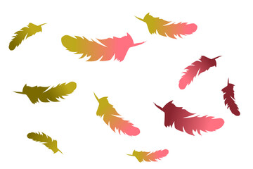 Colourful Vector Feathers