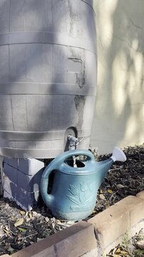 Rain Barrel Filling Green Watering Can