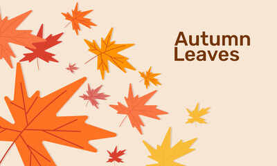 autumn comes leaves fall down flat background design