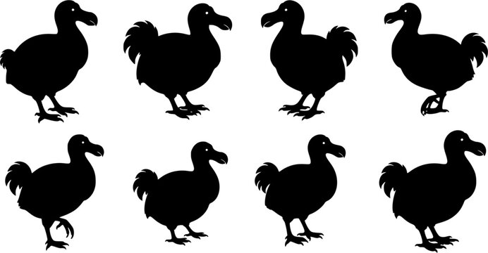 Dodo silhouettes, Dodo bird silhouette, Dodo bird, Dodo, Dodo bird set