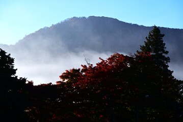 A view of Hakone in late autumn. Hakone, Kanagawa Prefecture, Japan. Many tourists visit Hakone every year to see the autumn leaves.