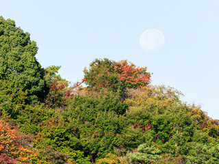 朝の月と秋の山