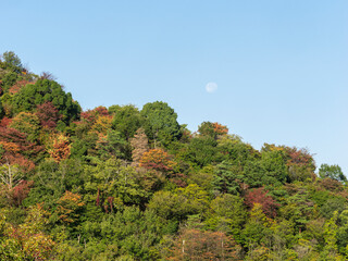 朝の月と秋の山