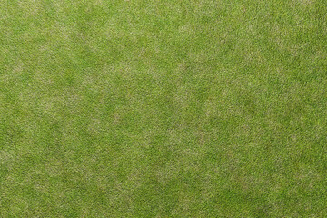 緑の芝をイメージした背景素材
