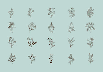 Brown Flowers Leaves Botanical Line Art Icons Set