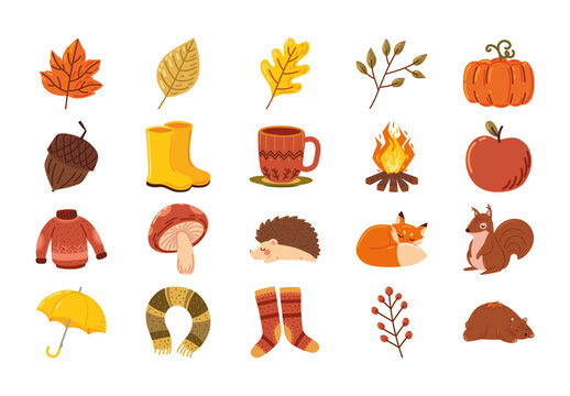 Colorful Autumn Forest Animals Leaves Illustrations Set
