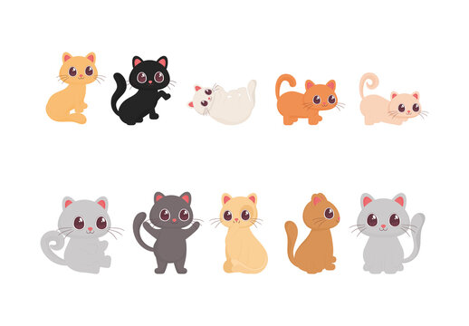 Colorful Cats Cute Cartoon Pets Animal Illustrations Set