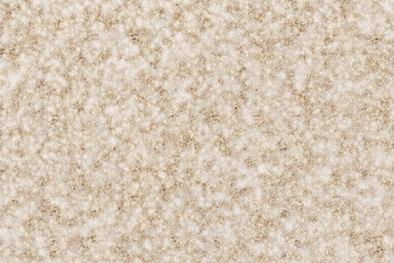 冬の芝の背景素材